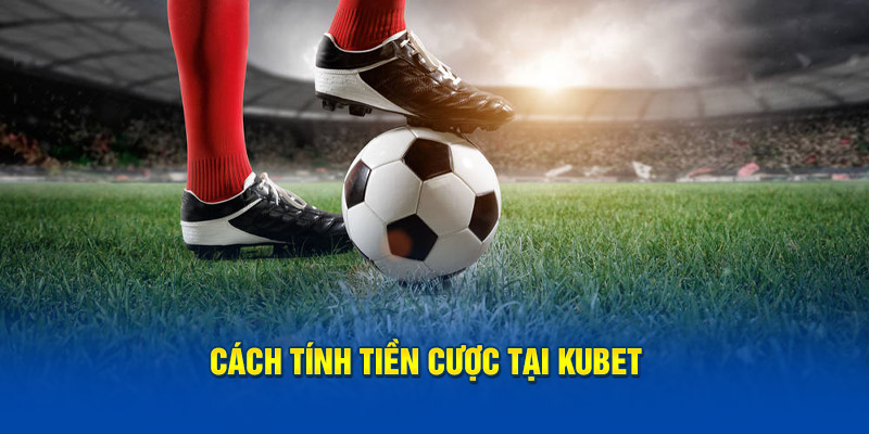 Cách tính tiền cược tại Kubet 