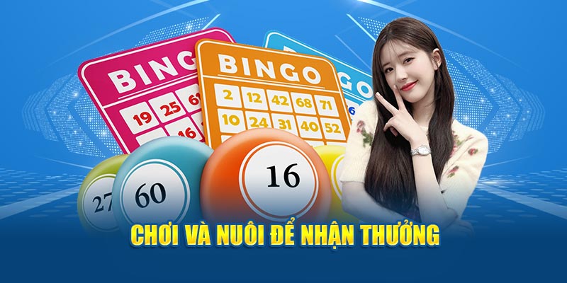 Chơi và nuôi để nhận thưởng