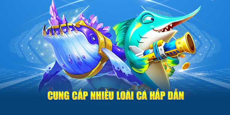 Cung cấp nhiều loài sinh vật biển hấp dẫn