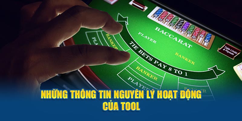 Những thông tin nguyên lý hoạt động của tool